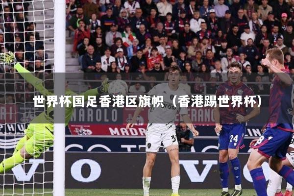世界杯国足香港区旗帜（香港踢世界杯）