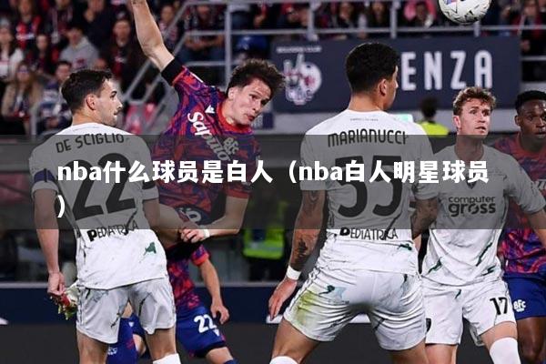 nba什么球员是白人（nba白人明星球员）