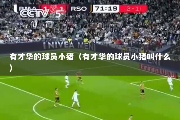 有才华的球员小猪（有才华的球员小猪叫什么）