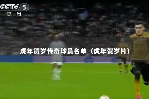 虎年贺岁传奇球员名单（虎年贺岁片）