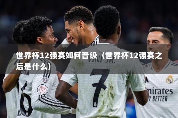 世界杯12强赛如何晋级（世界杯12强赛之后是什么）